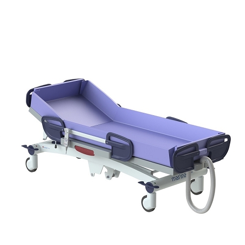 鋁合金電控升降調背沐浴床