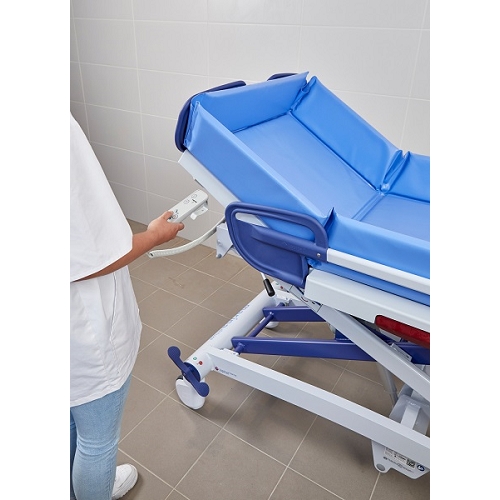 鋁合金電控升降調背沐浴床