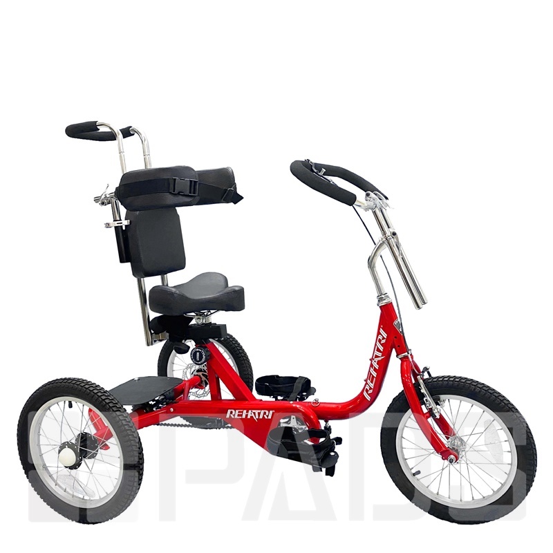 適應體育,適應體育輔具,復健腳踏車